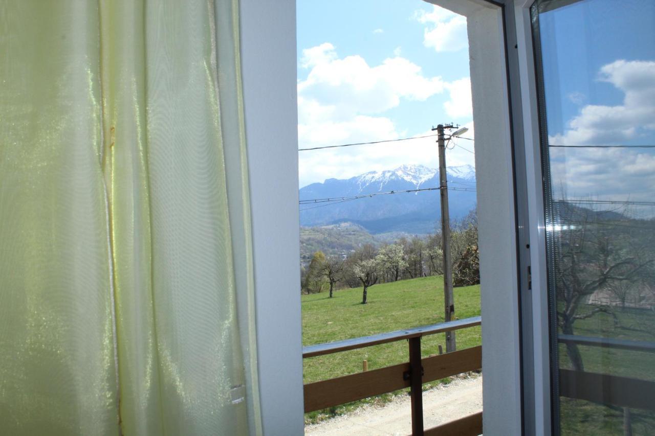 Casa Veverita Predelut Εξωτερικό φωτογραφία