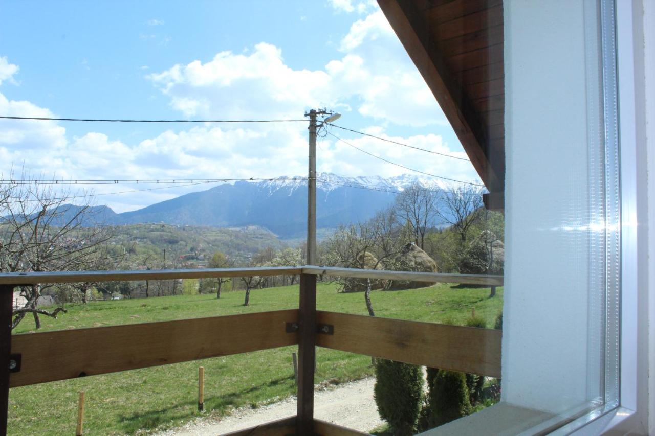 Casa Veverita Predelut Εξωτερικό φωτογραφία